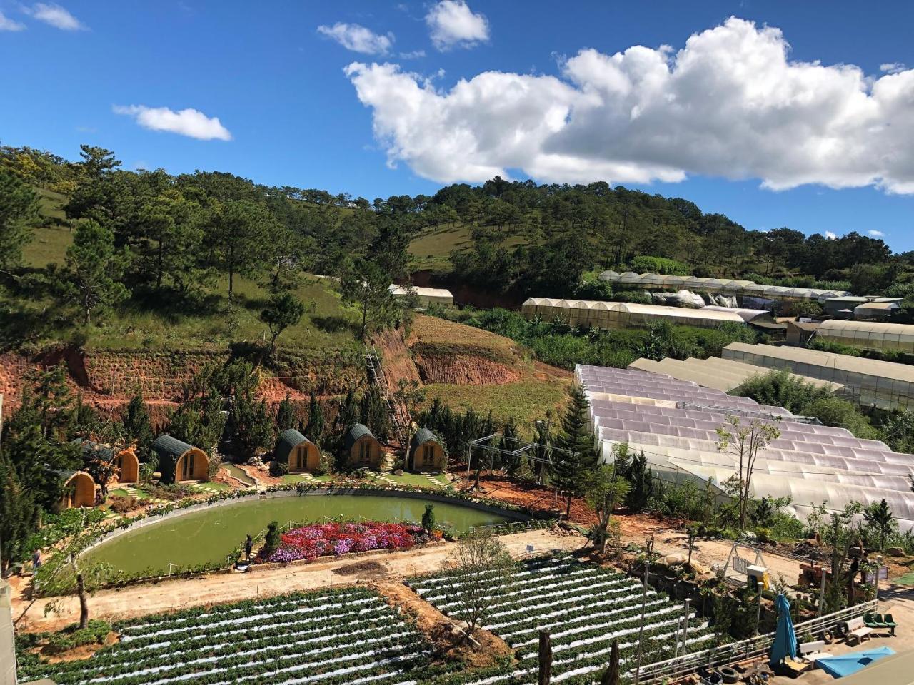 Berry Valley Homestay Dalat Exterior foto